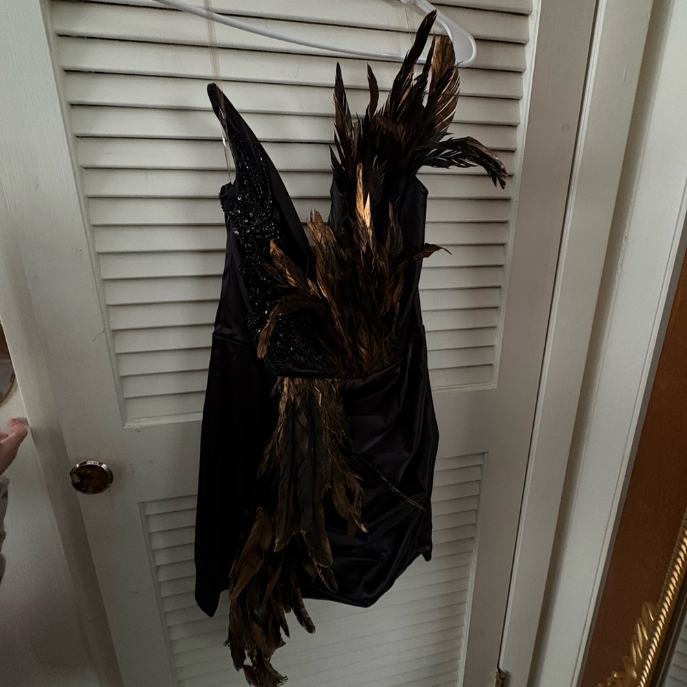 Black and Gold Feathered Dress
